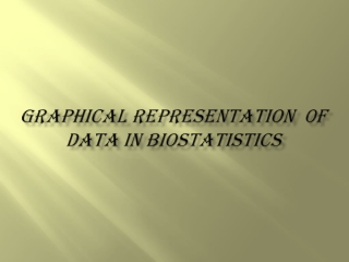 ZOO SSR GRAPHICAL REPRESTATION