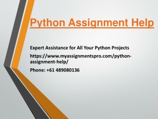 python assignment help