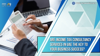 Are Income Tax Consultancy Services in UAE the Key to Your Business Success