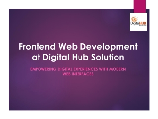 Frontend Web Development at Digital Hub Solution