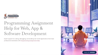 programming assignment help for web app software