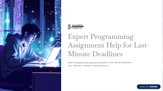 expert programming assignment help for last