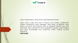 Learn Market Basics Using what is pips Explained Simply