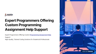expert programmers offering custom programming