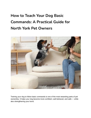 how to teach your dog basic commands a practical